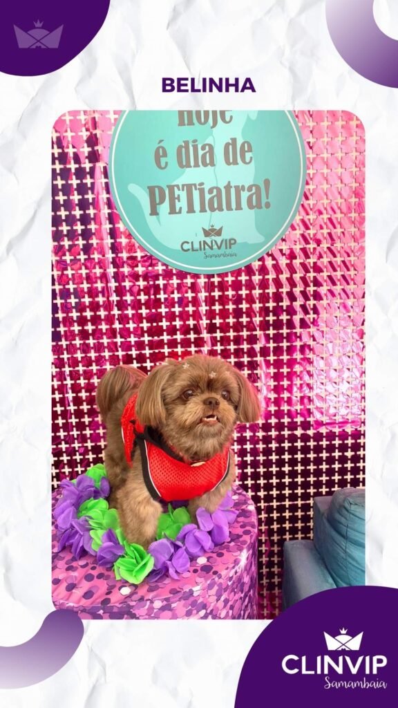 melhor hospital veterinario samambaia clinvip (15)