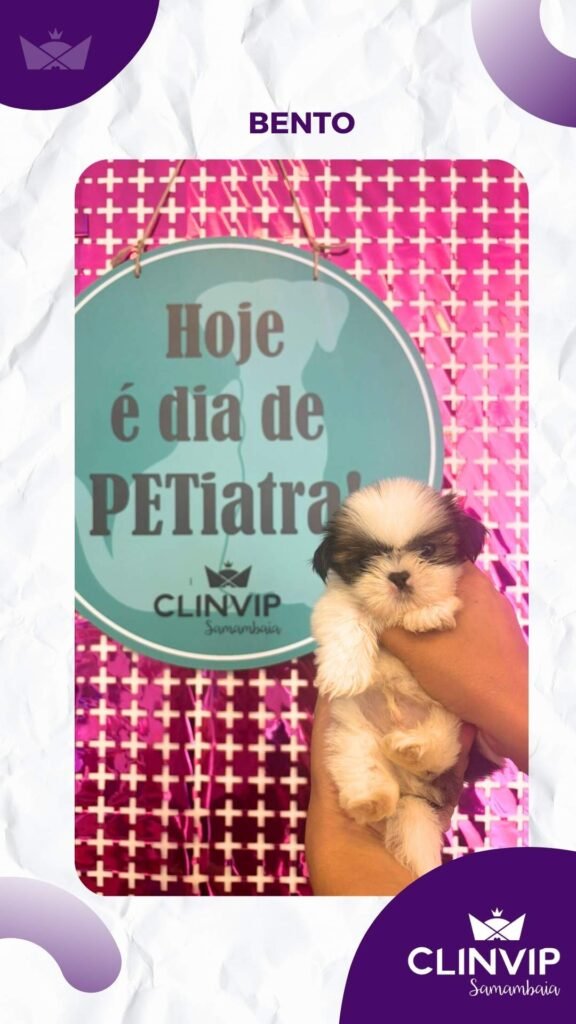 melhor hospital veterinario samambaia clinvip (3)