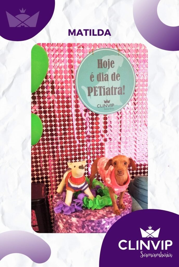 melhor hospital veterinario samambaia clinvip (33)