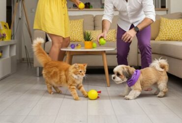 A castração eletiva é um procedimento cirúrgico realizado em animais saudáveis, geralmente cães e gatos, com o objetivo principal de prevenir reproduções indesejadas, e também de proporcionar benefícios à saúde e ao bem-estar do animal. Na CLINVIP Samambaia, oferecemos este procedimento com segurança e profissionalismo, utilizando técnicas cirúrgicas modernas e um pós-operatório cuidadoso.