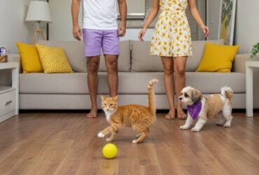 Na CLINVIP Samambaia, compreendemos a importância de diagnósticos precisos para o tratamento eficaz de diversas condições que afetam nossos pacientes felinos e caninos. Quando exames convencionais não são suficientes, recorremos a procedimentos de endoscopia, colonoscopia e rinoscopia, ferramentas diagnósticas de alta tecnologia que permitem visualizar internamente as cavidades do corpo do seu animal de estimação, oferecendo informações essenciais para um tratamento mais assertivo.